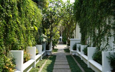 Hotéis em Bangkok: Guia Essencial