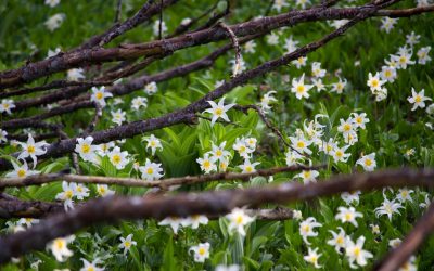 Guia de Hotéis em Washington D.C.