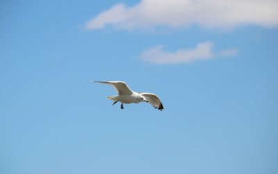 Ho Chi Minh: Guia de Hotéis para 2025