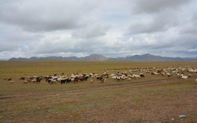 Hotéis em Ulaanbaatar: Guia 2025