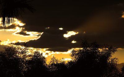 Hotéis em Vegas: Luxo ao Econômico