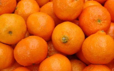 Onde Ficar em Sevilha: Guia de Hotéis para Todos os Orçamentos