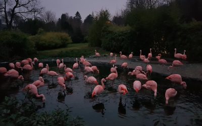 Onde Ficar em Zurique: Guia de Hotéis para Todos os Orçamentos