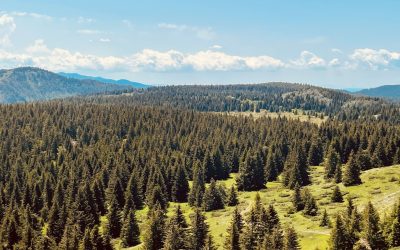 Pristina: O Guia Definitivo de Hospedagem para 2025