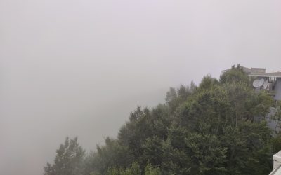 Tabaco e Reumatismo: Ligação Perigosa