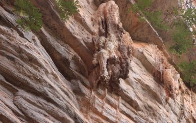 Barriga Lisa na TV: Rotina Draw-in de 10 Minutos na Cadeira