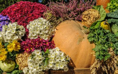 Desafios de Dieta de 7 Dias: O Que Esperar?