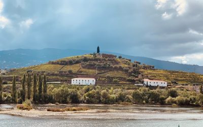 Durma Bem, Perca Peso: O Segredo Revelado