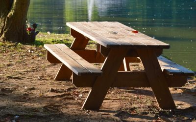 Lanche Noturno e 5kg Menos: A Verdade Revelada