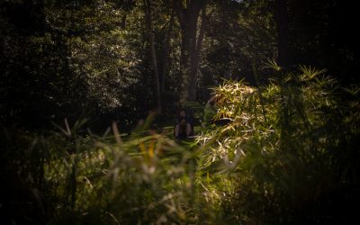 Perder Barriga Sentado: Mitos e Fatos