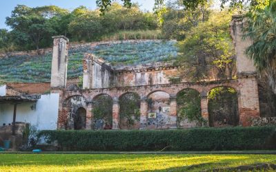 Six-pack sem Academia: O Guia Definitivo de Treino em Casa