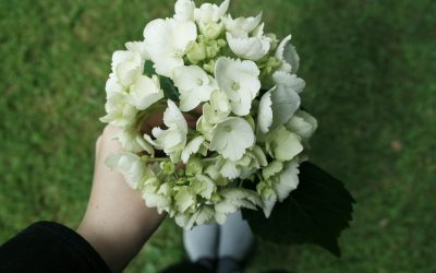 10 Minutos: Meditação que Transforma Sua Vida