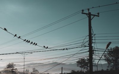 A Revolução Móvel: Desvendando a Penetração de Smartphones Global em 2025