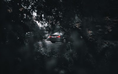 Descubra Profissões Inusitadas Pelo Mundo em 2025