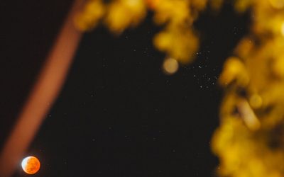 Deslocamento Global: Padrões de Viagem Diária