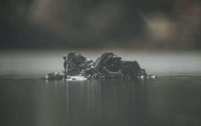 Desvende a Mente: Métodos Simples de Anotação