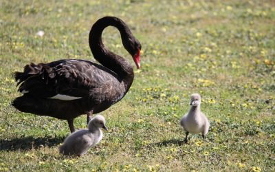 Estilos Parentais Globais: Uma Viagem Cultural