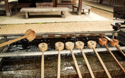 Instrumentos Tradicionais Globais