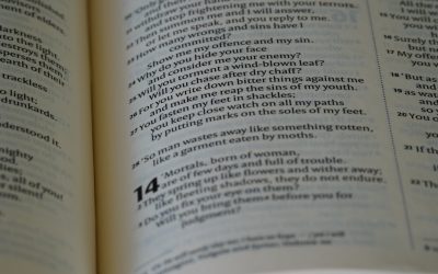 Leitura Diária: Crie o Hábito em 30 Dias