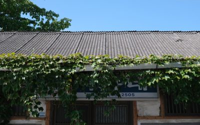 Manhãs Produtivas: O Segredo dos Mais Bem-Sucedidos