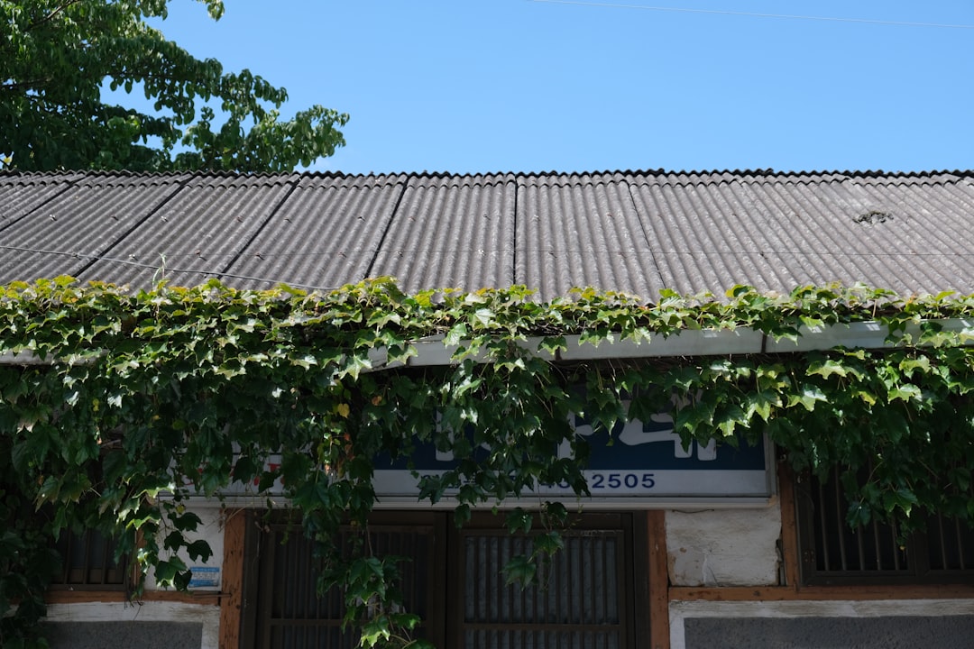 manh-s-produtivas-o-segredo-dos-mais-bem-sucedidos-1752031292304