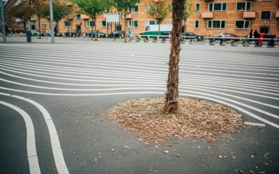 Minimalismo: Viva Mais com Menos