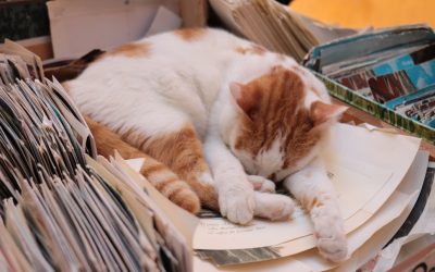 Mitos da Gestão do Tempo: Desvende a Verdade