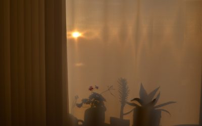 Mude a Manhã, Mude a Vida: O Guia