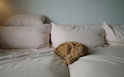 Rotina Noturna: Diga Adeus à Insônia!