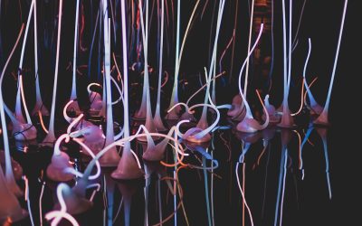 Rotina: Transforme-se e Sua Vida