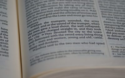 Saudações Globais: Guia Essencial para Viajantes