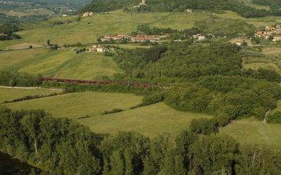 Transformação em 2 Meses: Pernas O-leg Reveladas!