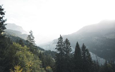 Ecoturismo: Viaje Consciente por Portugal e Brasil