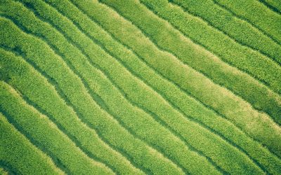 Energias Alternativas: O Mundo em Transformação