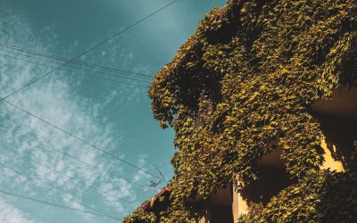 Portugal Verde: Guia de Viagem Sustentável