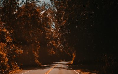 Viaje Sustentável: Guia Essencial!