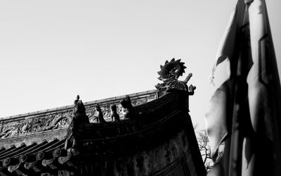 Descubra o Turismo Sustentável: Aventuras Ecológicas em Portugal e Brasil