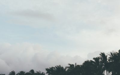 Desvende os Segredos da Gestão do Tempo e Aumente a Sua Concentração em 2025!