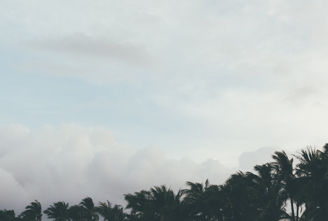 desvende-os-segredos-da-gest-o-do-tempo-e-aumente-a-sua-concentra-o-em-2025-1758738143098