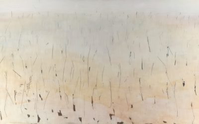 Desvende os Segredos de uma Casa Organizada e Limpa: Dicas Essenciais para 2025!