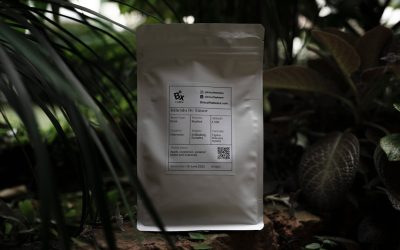 Desvende os Segredos do Café e Chá: Um Guia Completo para Apreciadores