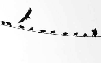 Desvende os Segredos do Crescimento: Estratégias para Redes Sociais, YouTube e Blogs em 2025