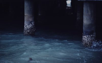 Domine a Arte da Organização, Arrumação e Limpeza: Dicas Essenciais para um Lar Harmonioso em 2025