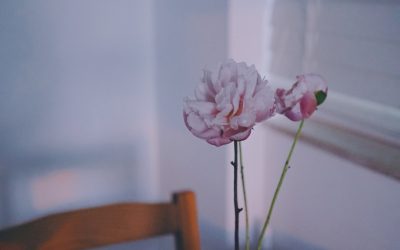 Guia Completo para uma Vida de Nómada Digital em 2025: Liberdade e Produtividade em Qualquer Lugar do Mundo