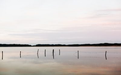 Meditação e Técnicas de Respiração: O Caminho para uma Vida Sem Estresse em 2025