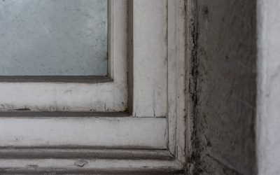 O Guia Definitivo para Praticar o Minimalismo em 2025: Menos É Mais, Mais Felicidade!