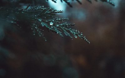 Os 20 Melhores Destinos Escondidos que Estão a Bombar nas Redes Sociais em 2025!