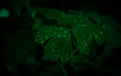 Respire Fundo: Meditação e Técnicas de Respiração para Reduzir o Estresse na Vida Moderna