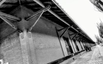 Rotinas de Exercícios Eficazes para Fazer em Casa: Mantenha-se Ativo em 2025!