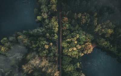 Turismo Sustentável: Viaje com Propósito